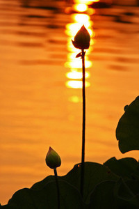 瓜帅面临挑战：曼城核心或将离队