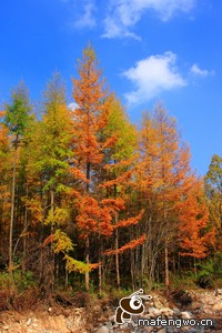 南安普顿球员组织慈善公益活动：提升队伍正能量