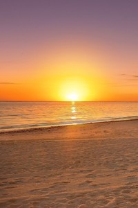 NBA霸气风格迎合火，篮球事业突飞猛进