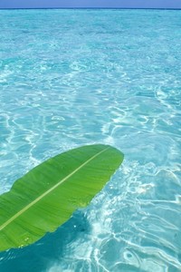 天津天海与大连一方交锋，争取主场取胜