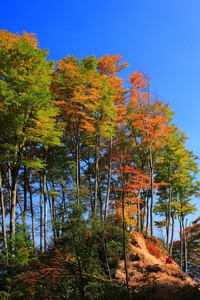 巴黎圣日尔曼球员遭遇伤病潮，主帅担忧