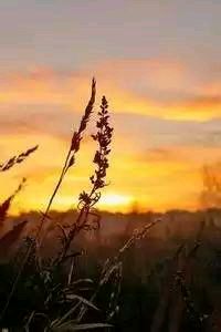 森林狼大胜对手，球队信心大增