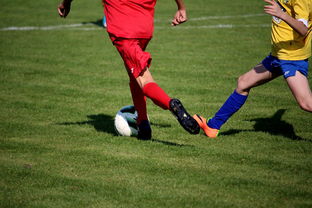 星空体育官网-五大联赛是否推动球员通过站位节奏学习适应战术切换，五大联赛地位  第2张